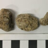 Prehistoric faeces reveal parasites from feasting near Stonehenge
